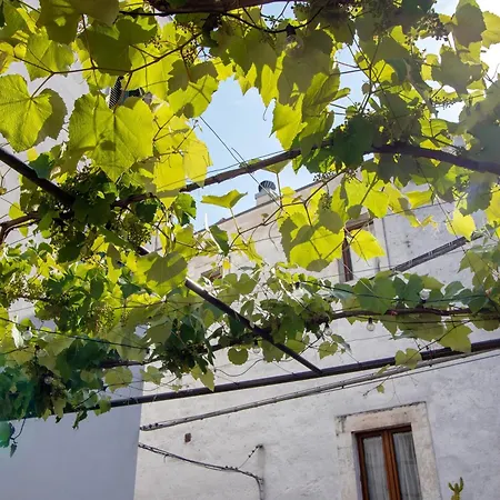 Dimore Di Bacco 度假居 鲁蒂利亚诺