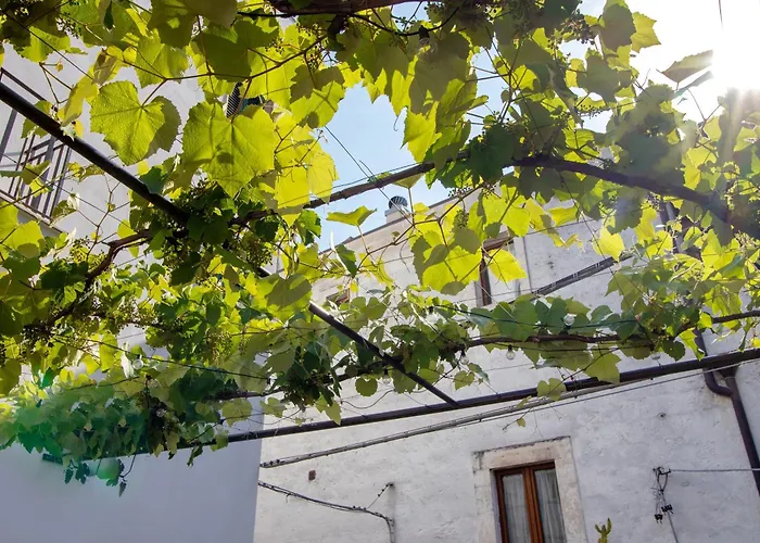 Dimore Di Bacco * Rutigliano