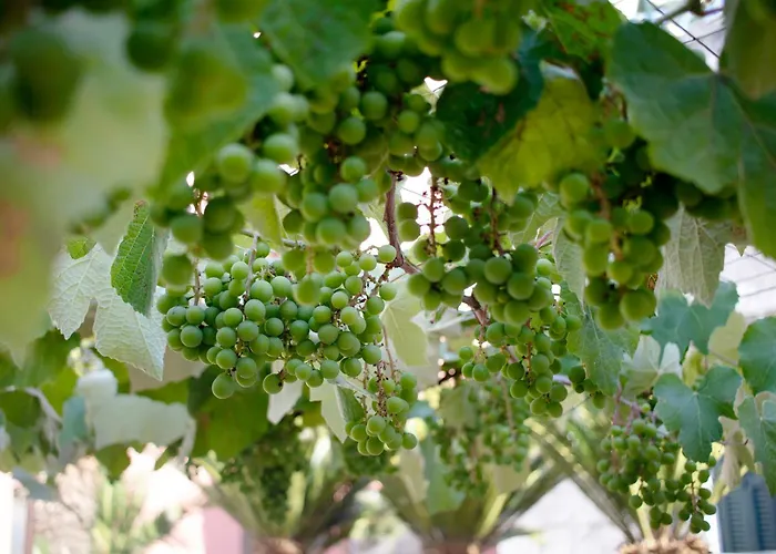 Dimore Di Bacco Vakantiehuis